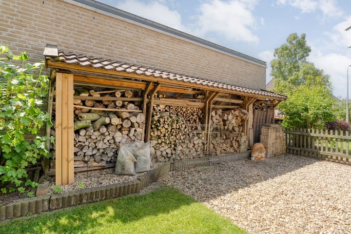 Foto 55 van Patrijs 52