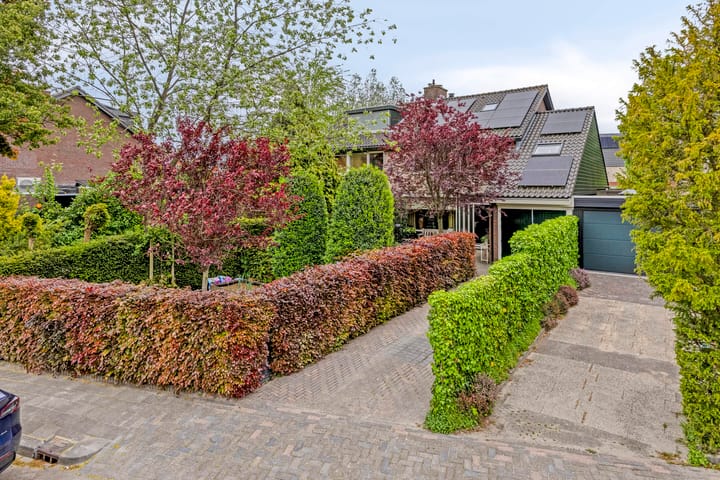 Photo 5 of Van Renesseborch 16