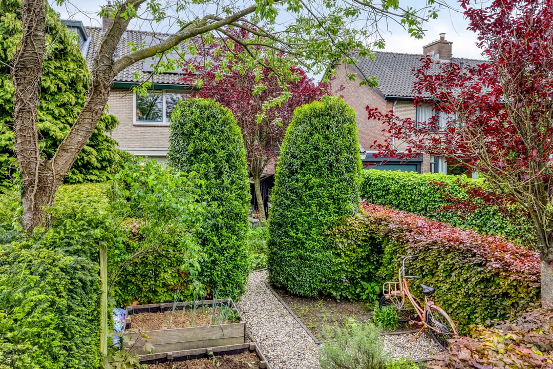 Foto 8 van Van Renesseborch 16