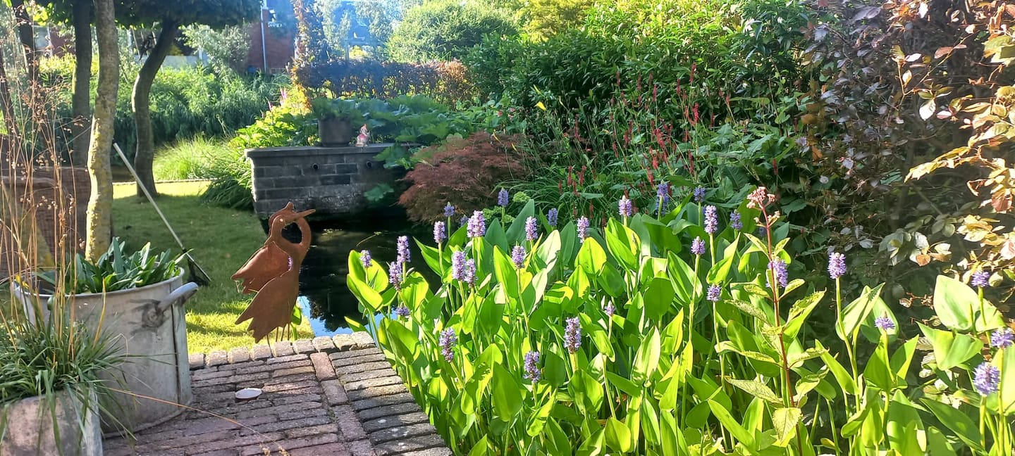 Foto 49 van Van Renesseborch 16