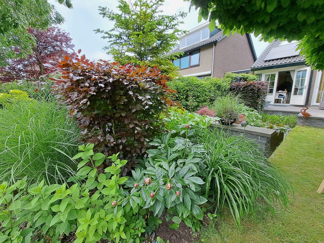 Foto 52 van Van Renesseborch 16