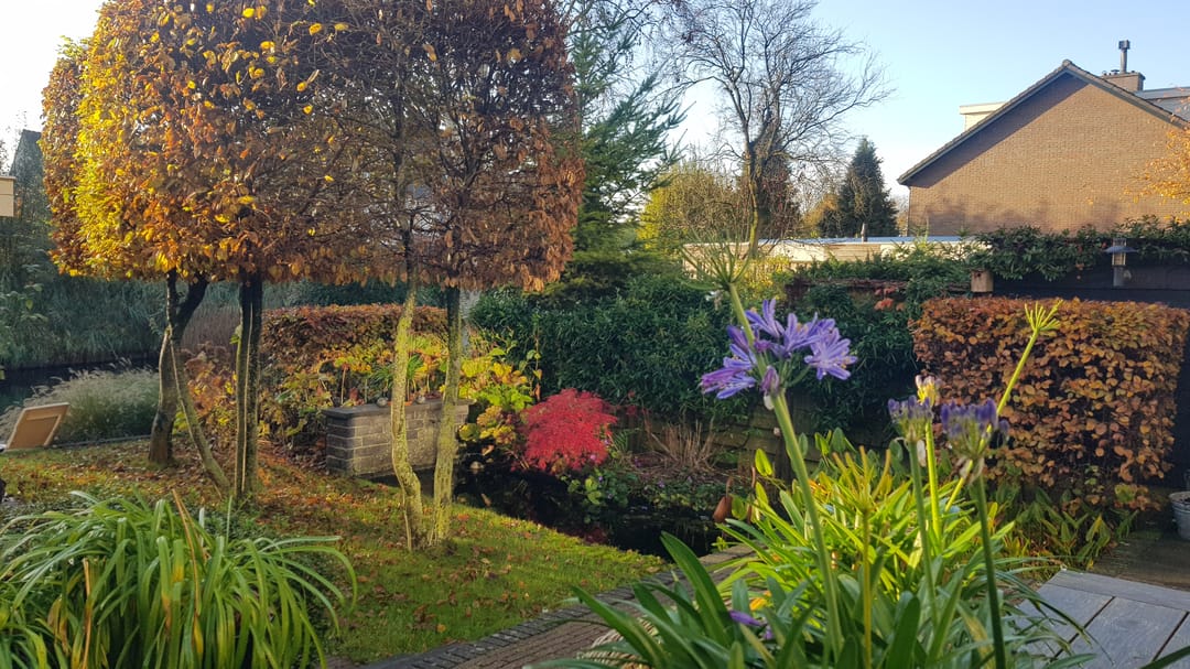 Foto 56 van Van Renesseborch 16