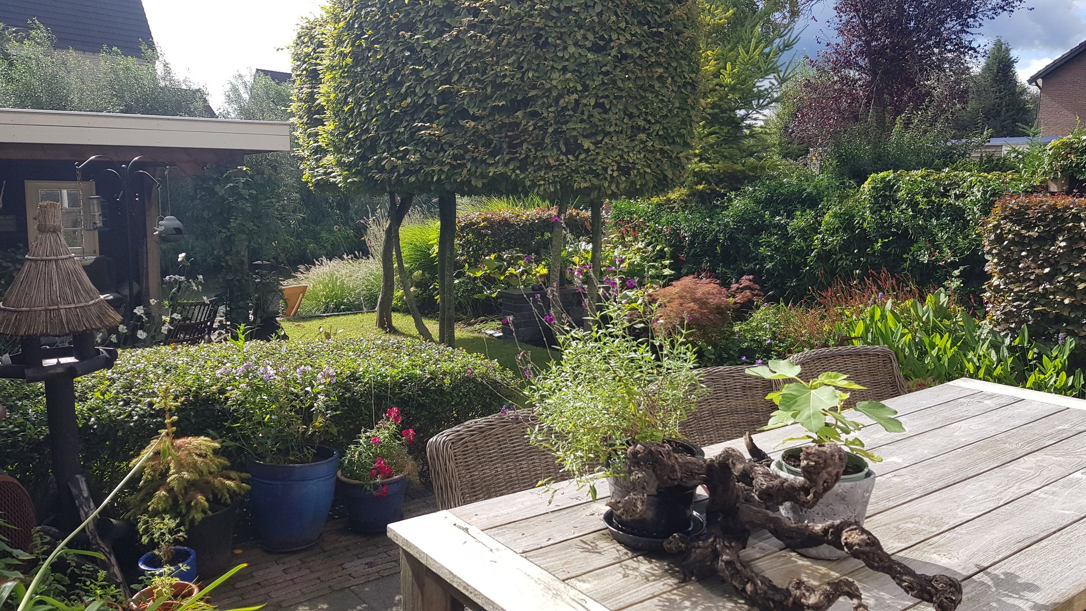 Foto 57 van Van Renesseborch 16