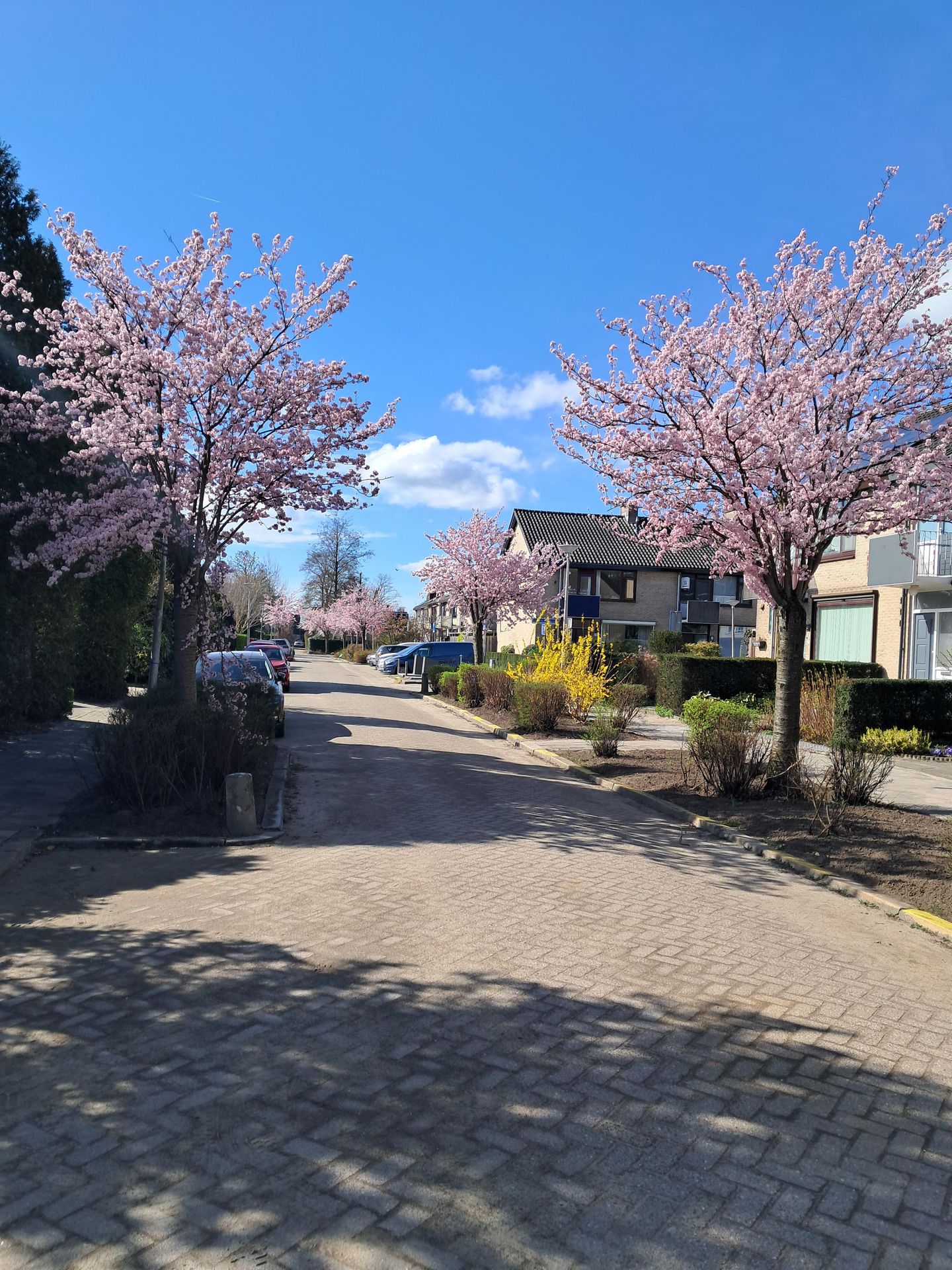 Foto 59 van Van Renesseborch 16