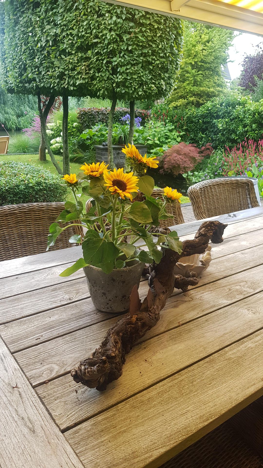 Foto 62 van Van Renesseborch 16