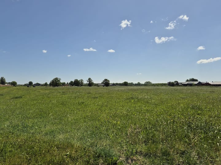 Foto 51 van Klemstraat 31