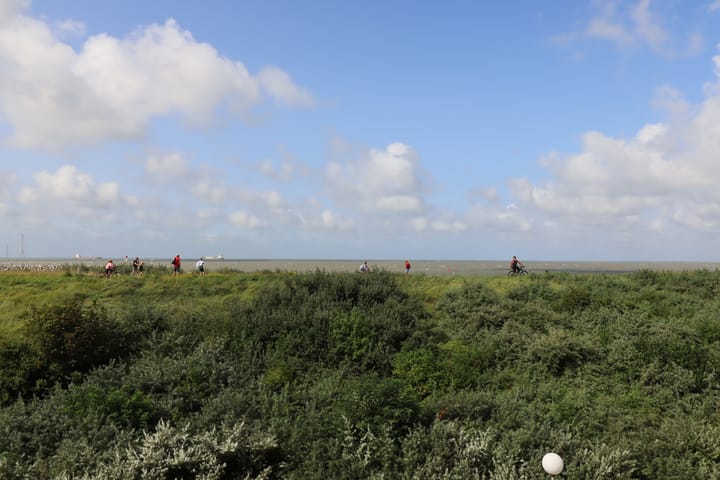 Photo 2 of Boulevard de Wielingen 82-005