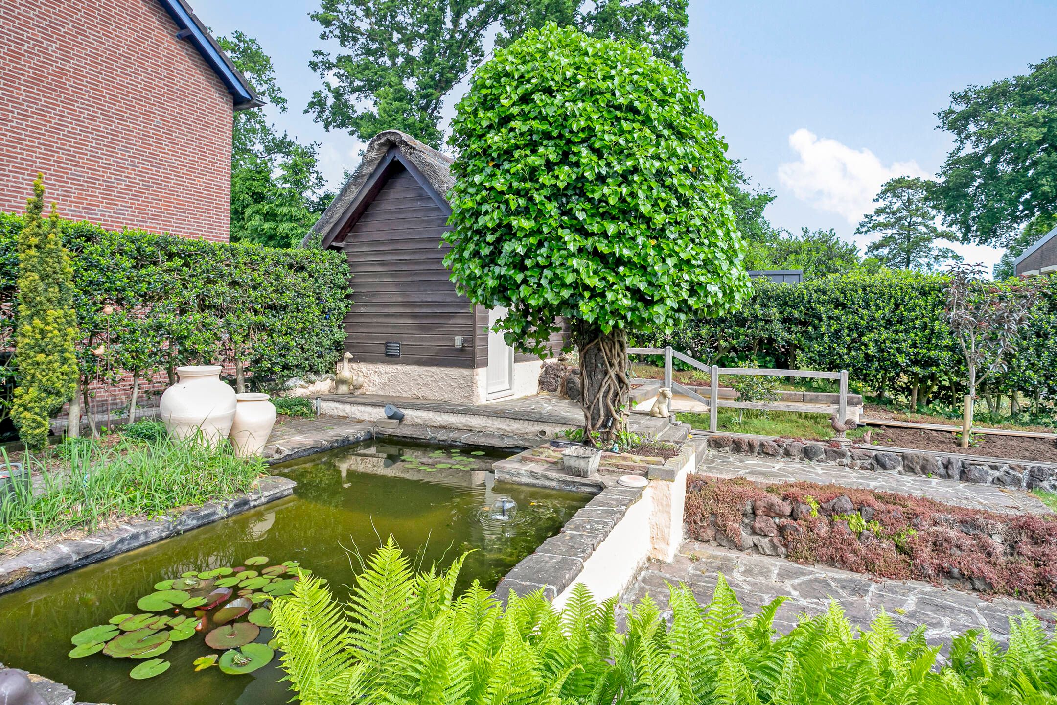 Foto 36 van Korhoenstraat 36