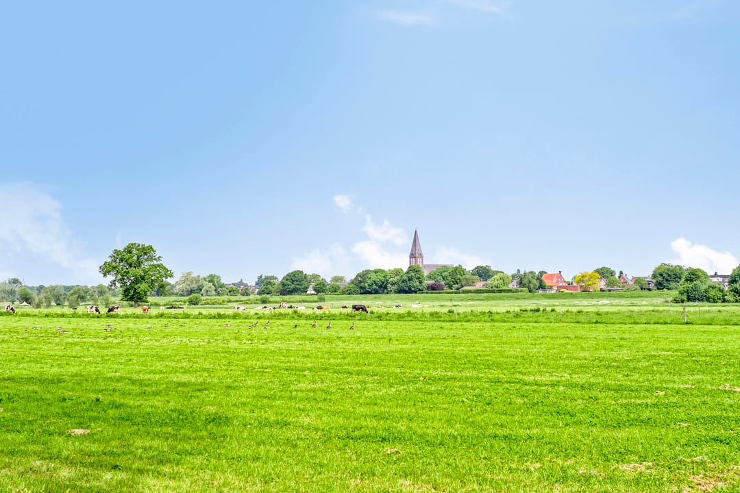 Foto 47 van Korhoenstraat 36