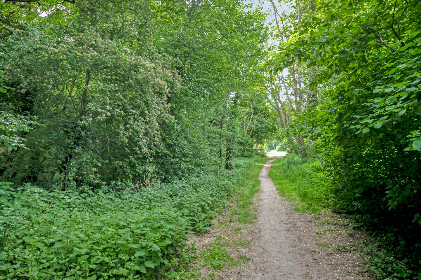 Foto 49 van Korhoenstraat 36