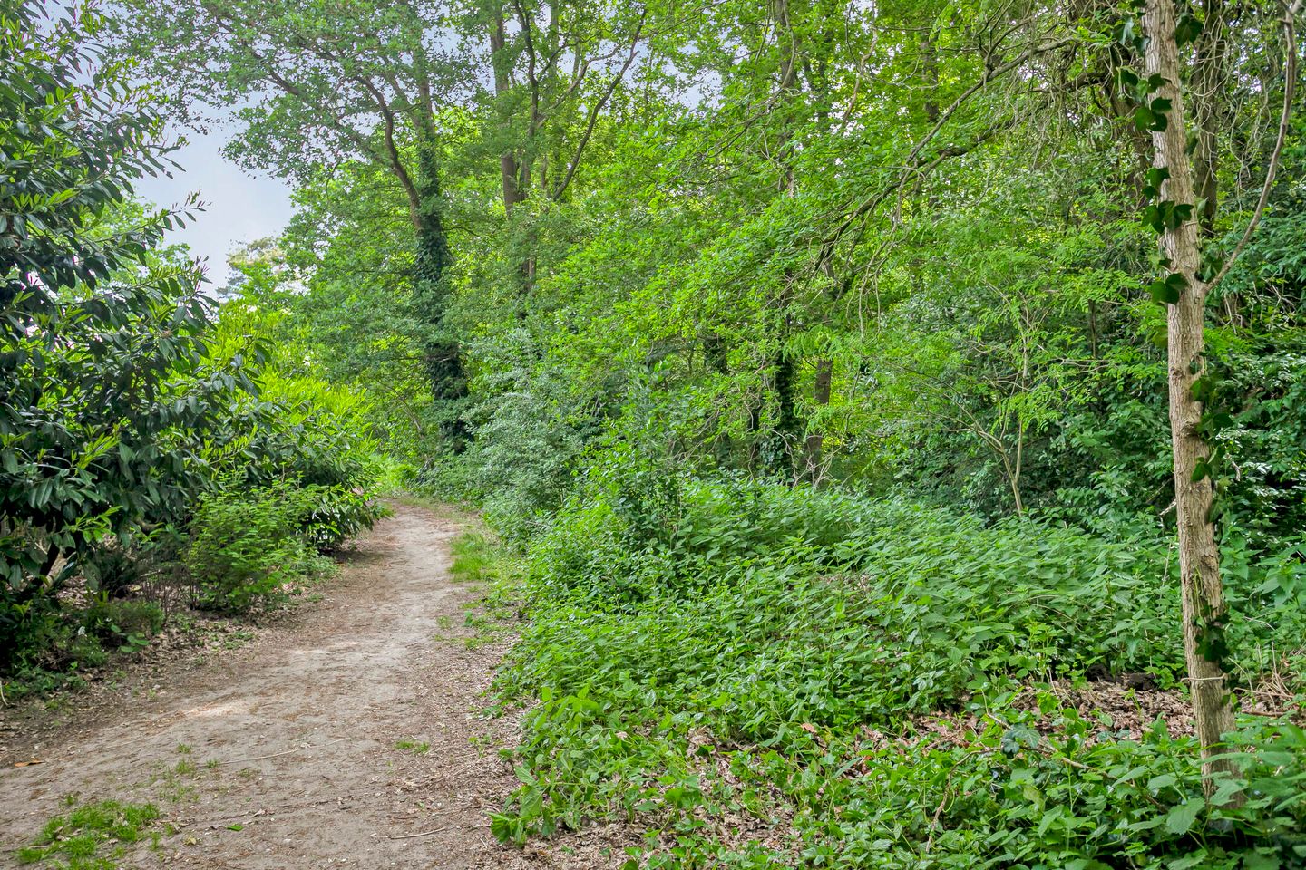 Foto 50 van Korhoenstraat 36