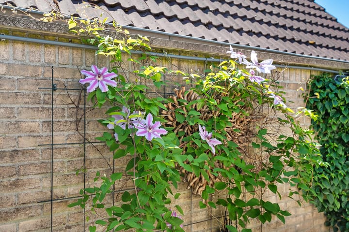 Foto 53 van Nieuwewijk 73