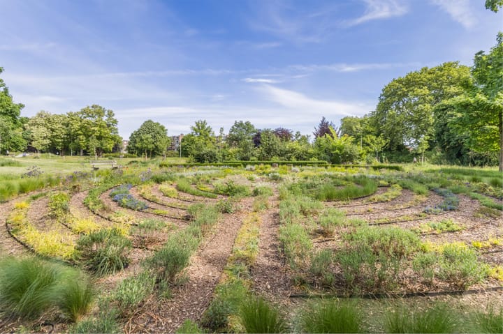 Foto 49 van Bauerstraat 3-2