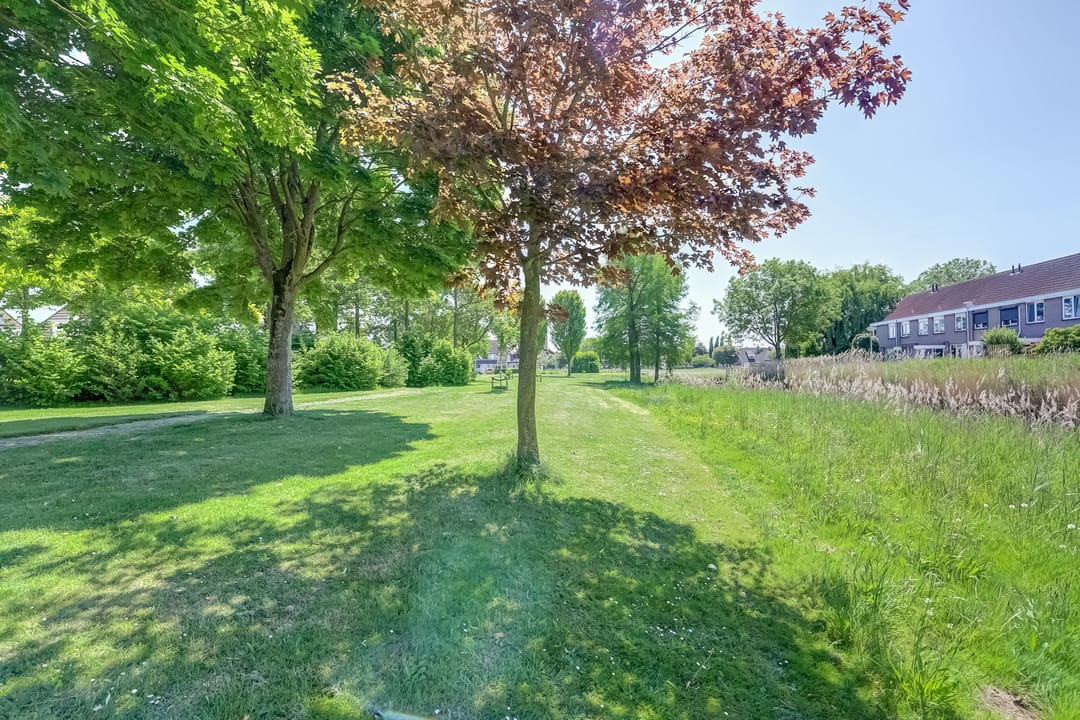 Foto 38 van Dankolfberg 4