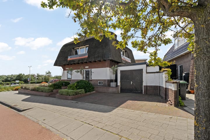 Foto 5 van Piet Heinplein 1