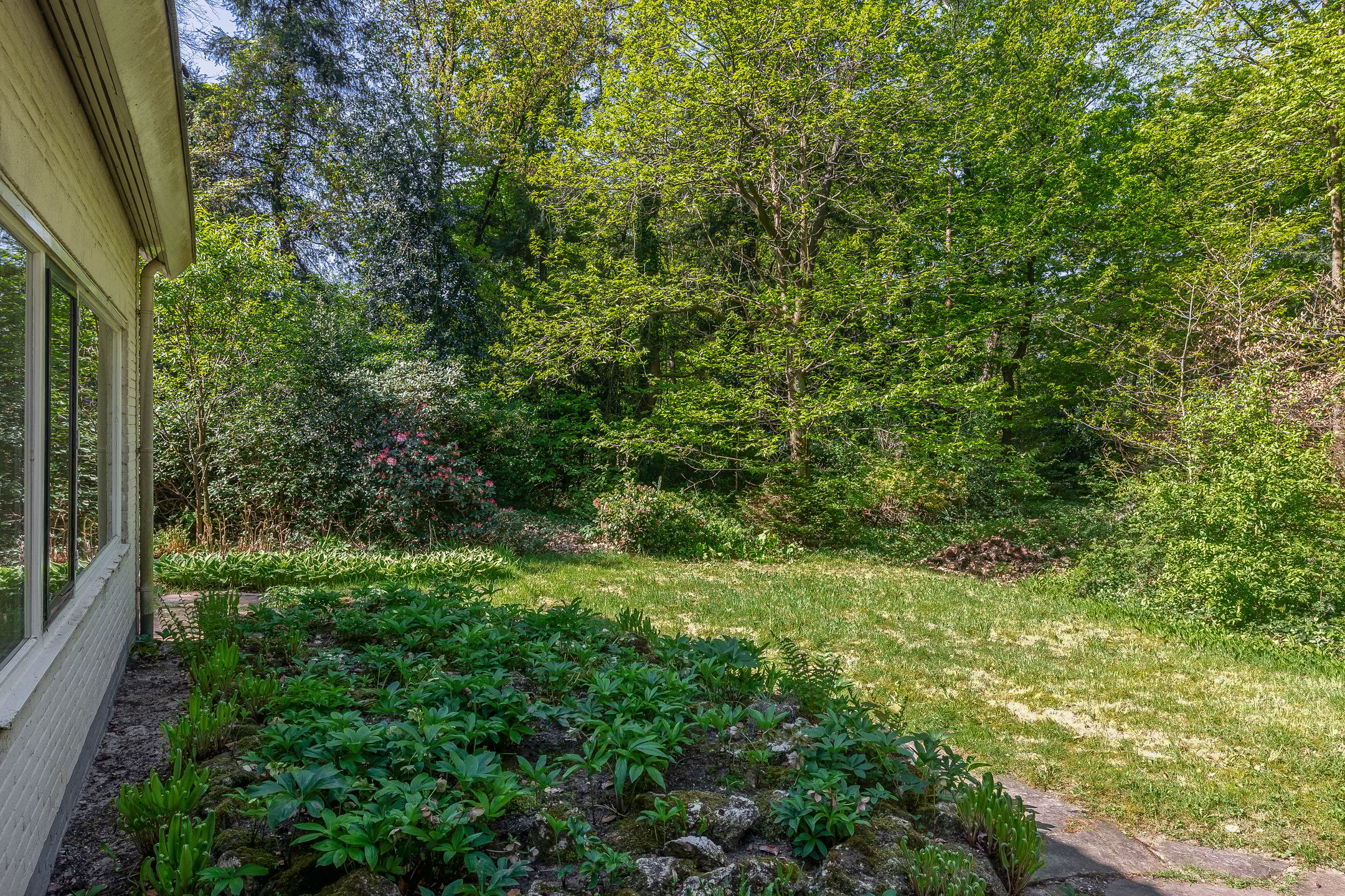 Foto 42 van Vossenlaan 6