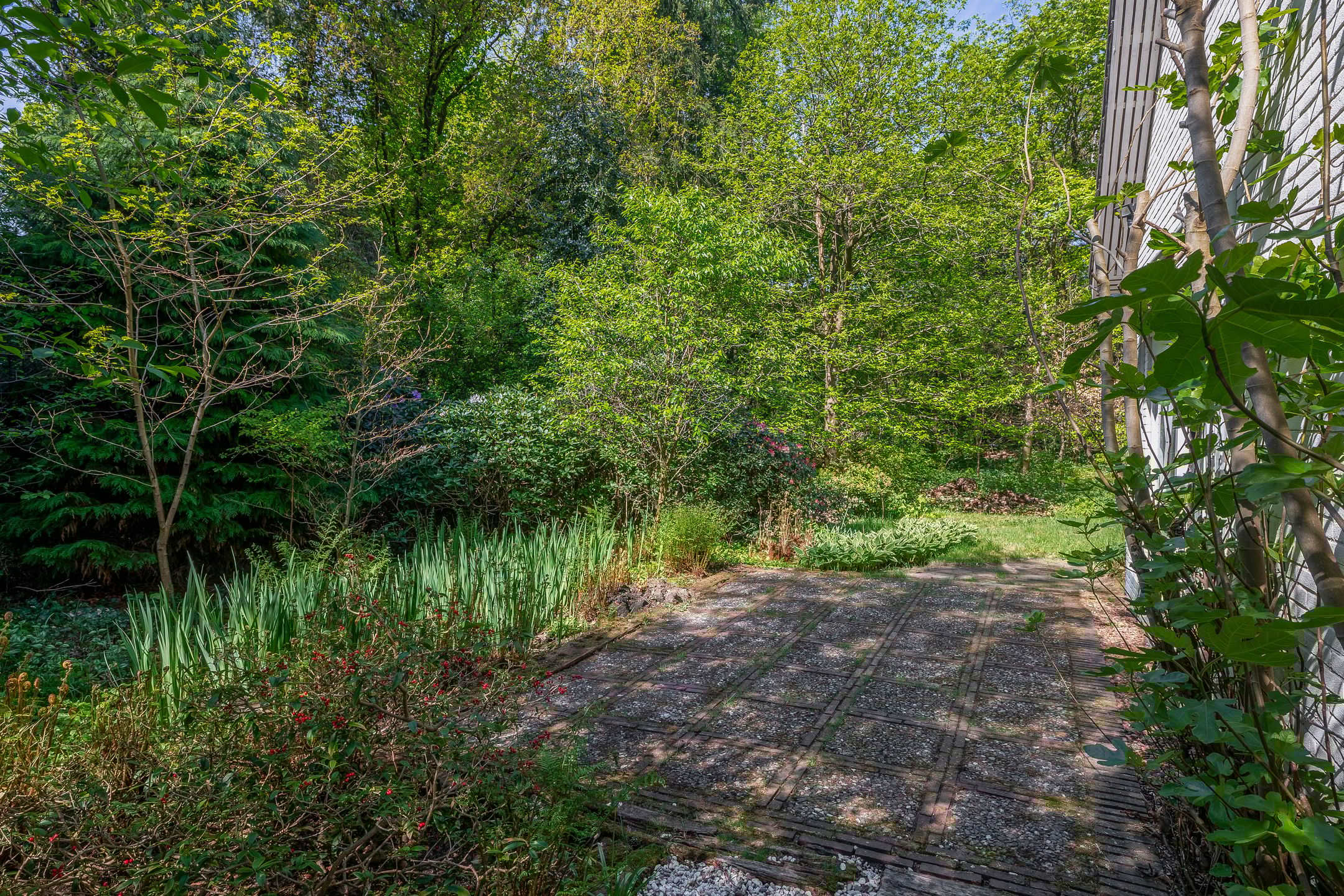 Foto 51 van Vossenlaan 6