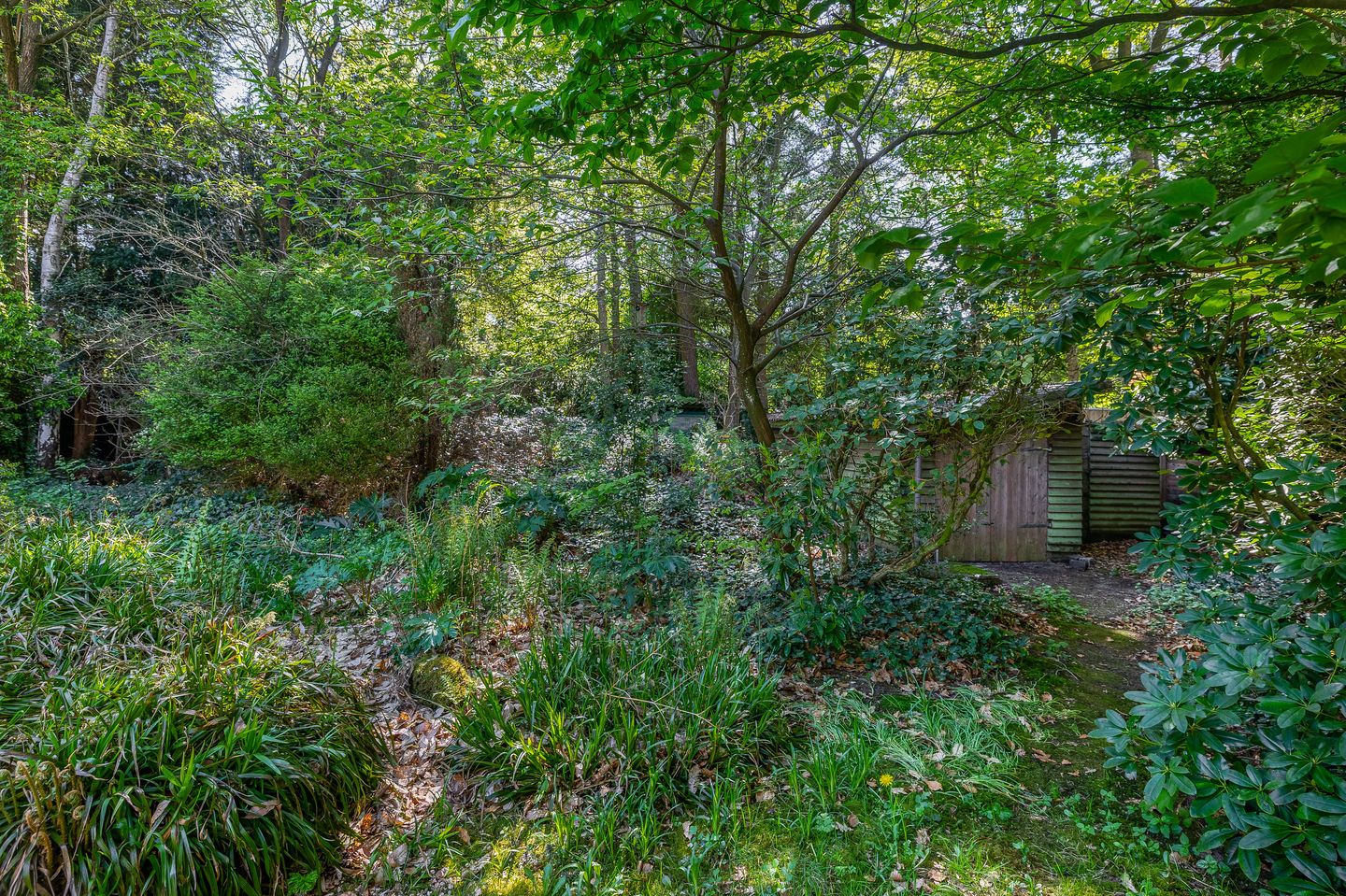 Foto 55 van Vossenlaan 6