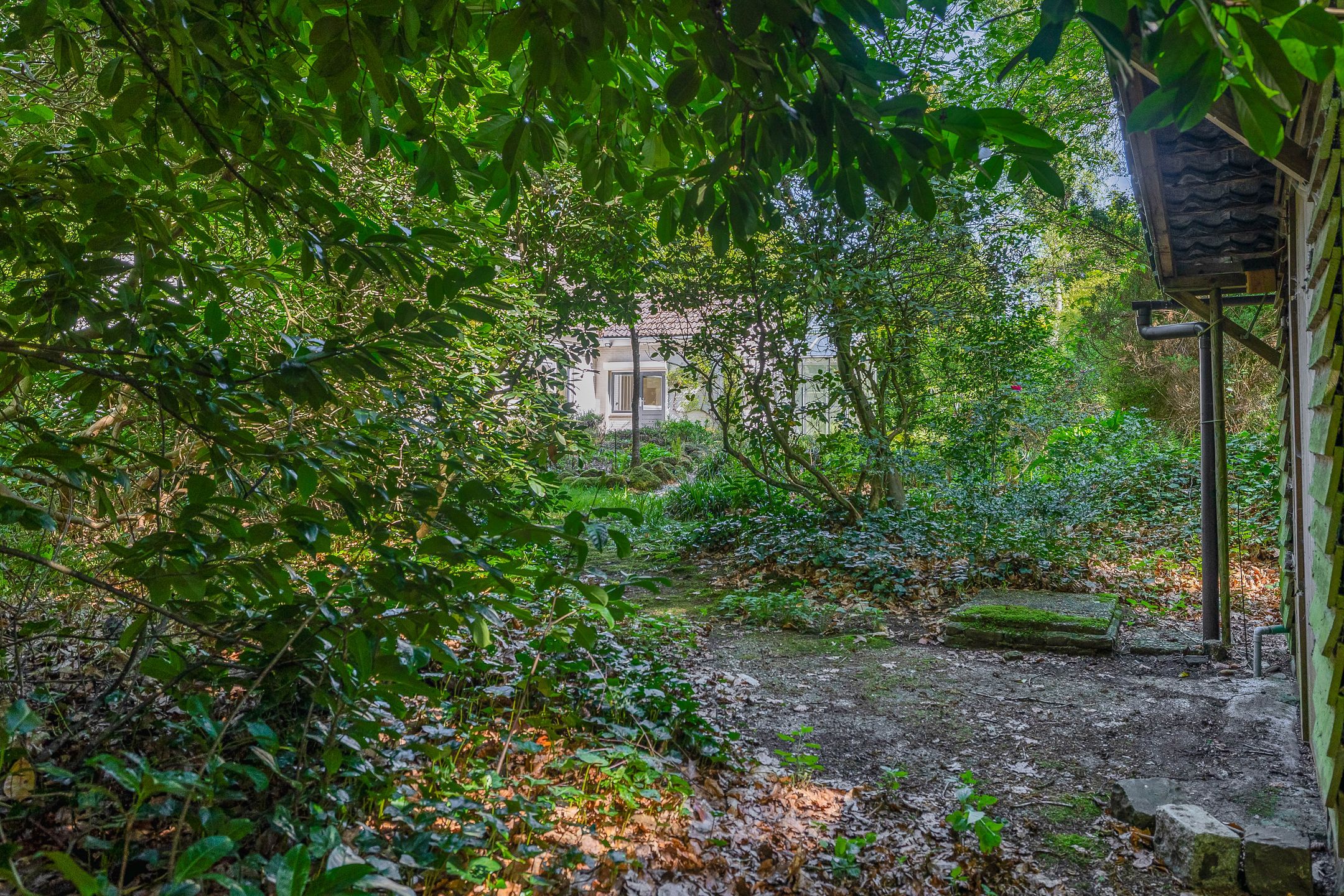 Foto 57 van Vossenlaan 6