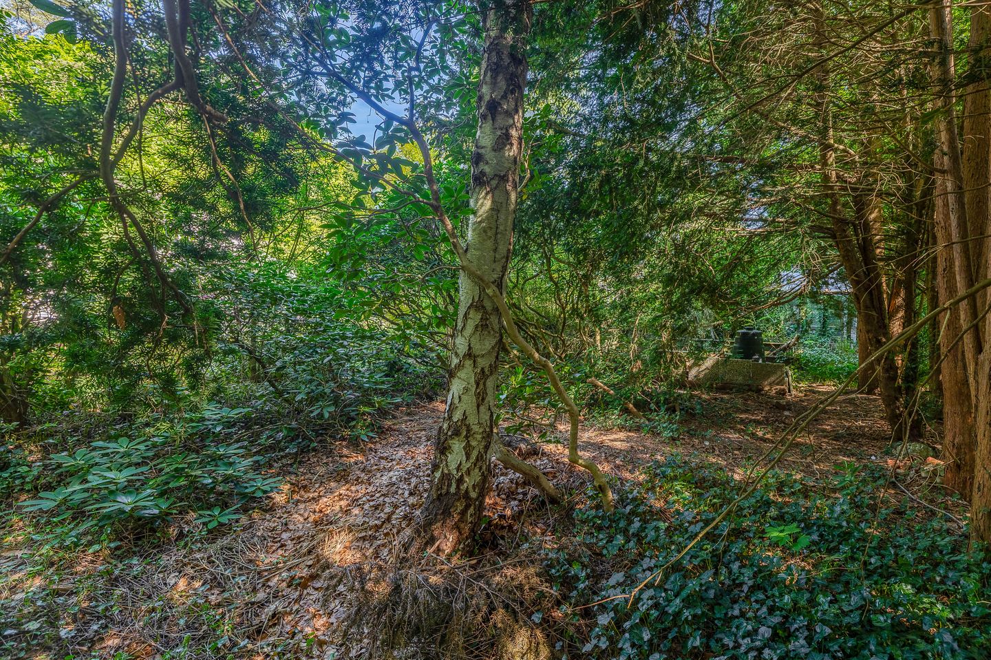 Foto 59 van Vossenlaan 6