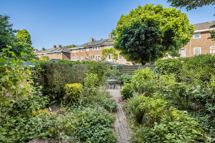 Foto 5 van Victor Hugoplantsoen 3