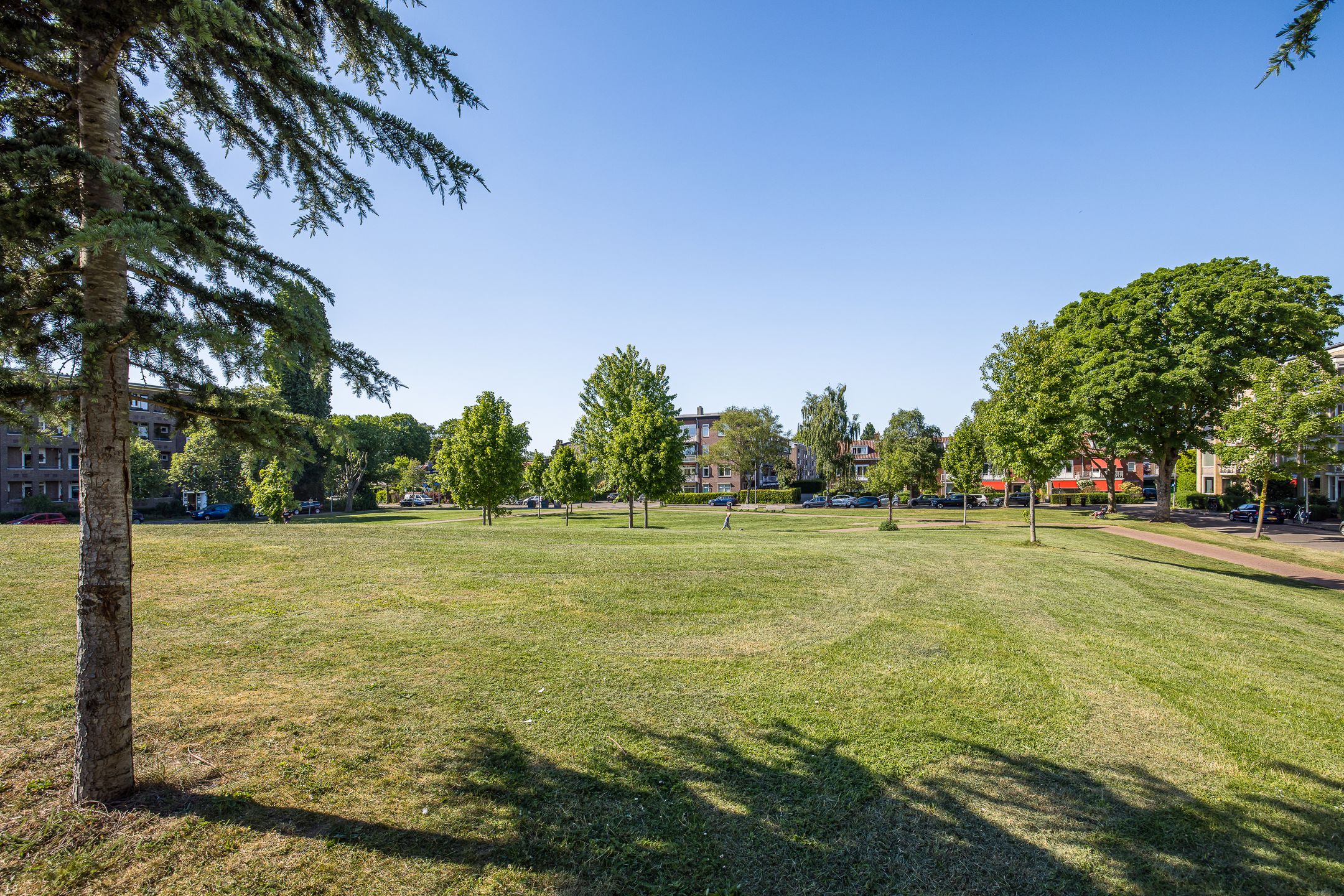 Foto 21 van Victor Hugoplantsoen 3