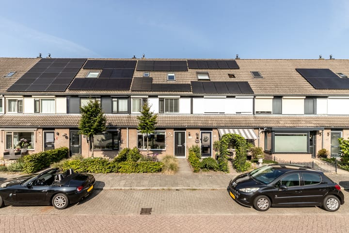 Foto 2 van Scholekster 57