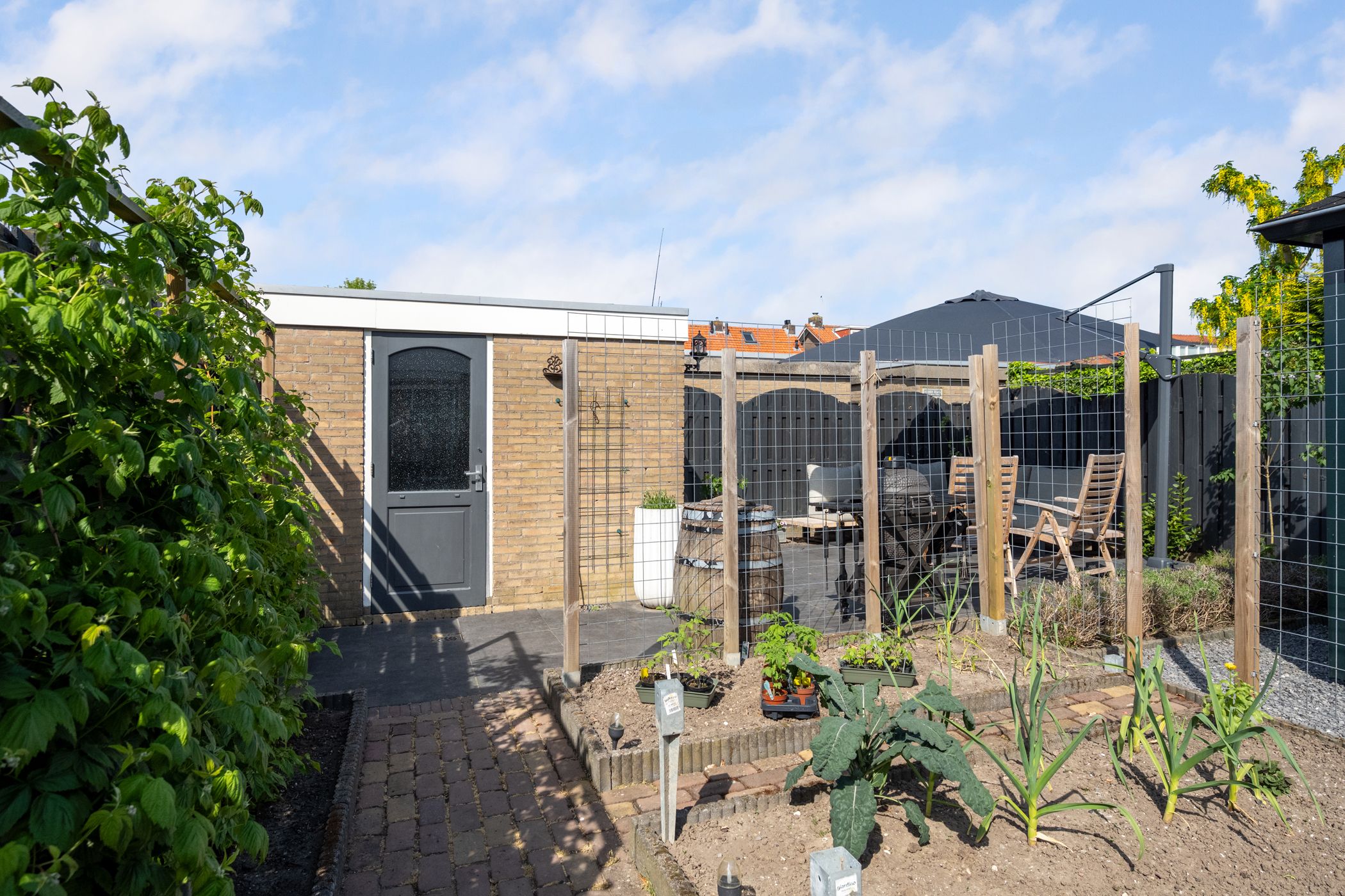 Foto 15 van van Wassenaerstraat 54