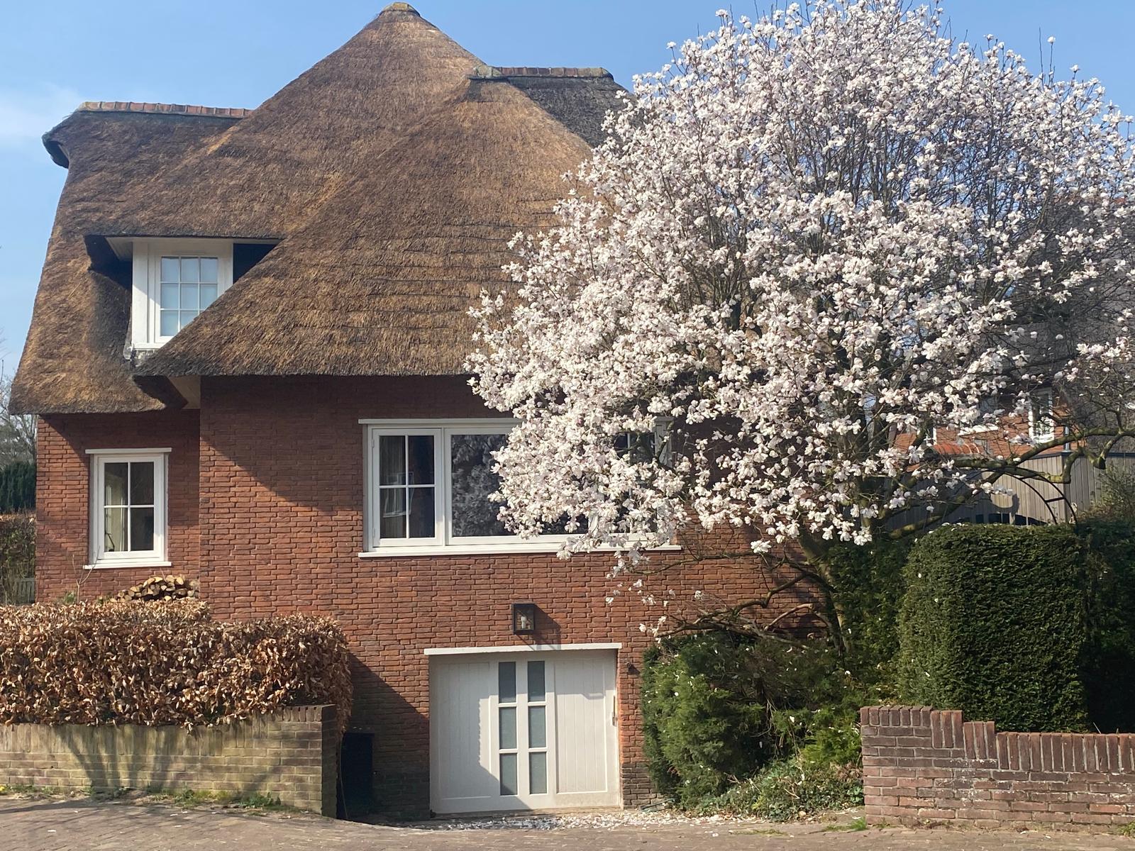 Foto 54 van Wijnoldy Daniëlslaan 14