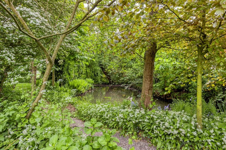 Foto 29 van Duifpolder 2-A