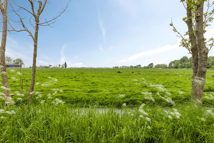 Foto 30 van Duifpolder 2-A