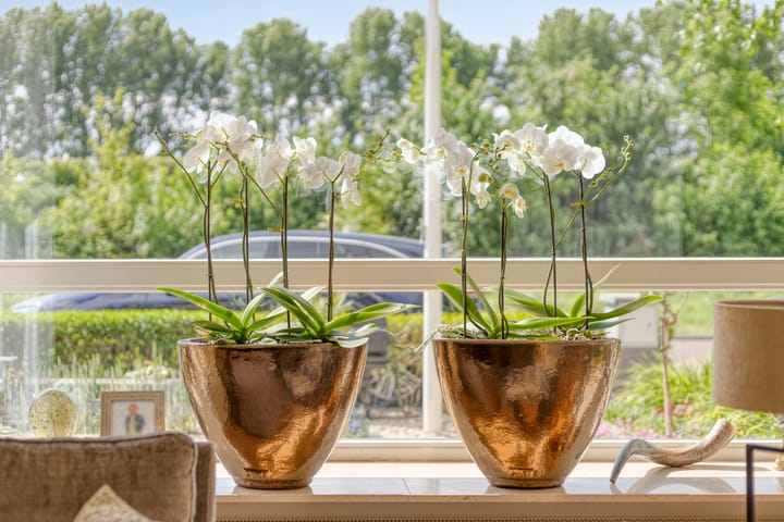 Foto 15 van Nazareth 10