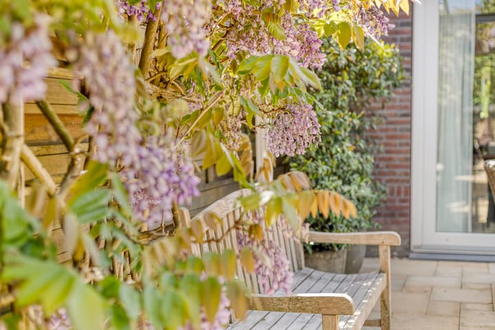 Foto 66 van Nazareth 10