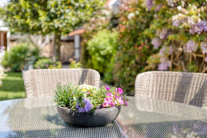 Foto 67 van Nazareth 10