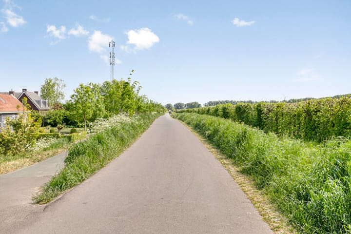 Foto 87 van Nazareth 10