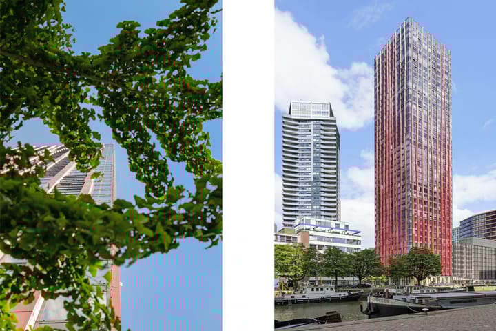 Photo 4 of Wijnbrugstraat 228