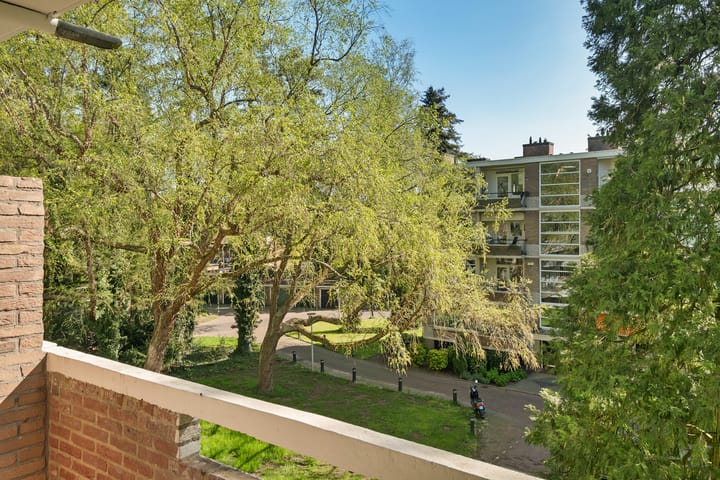 Foto 14 van Park de Kotten 191