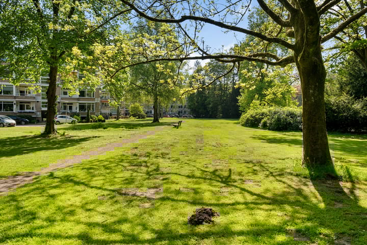 Foto 25 van Park de Kotten 191