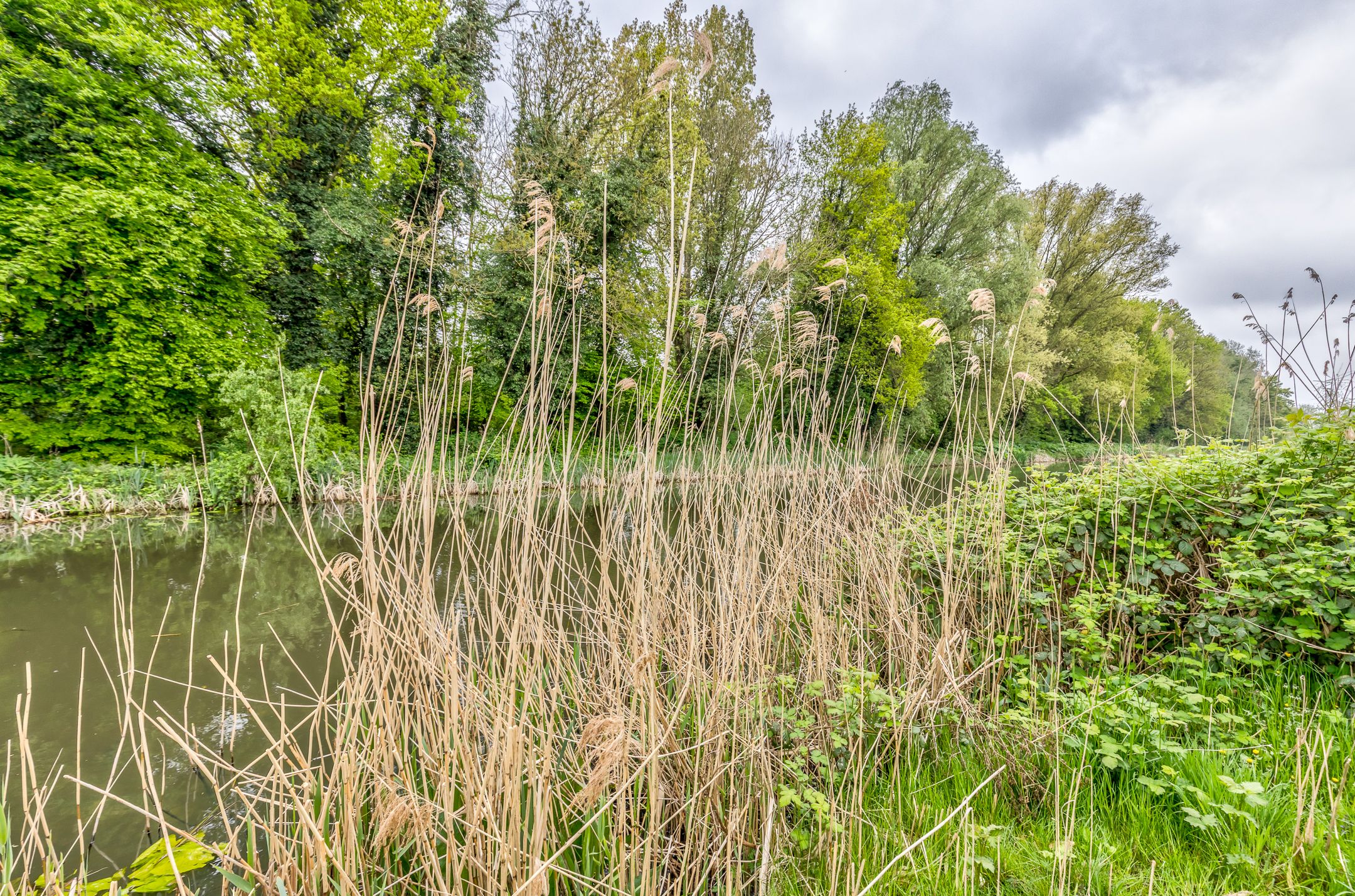 Photo 3 of Bermweg 210