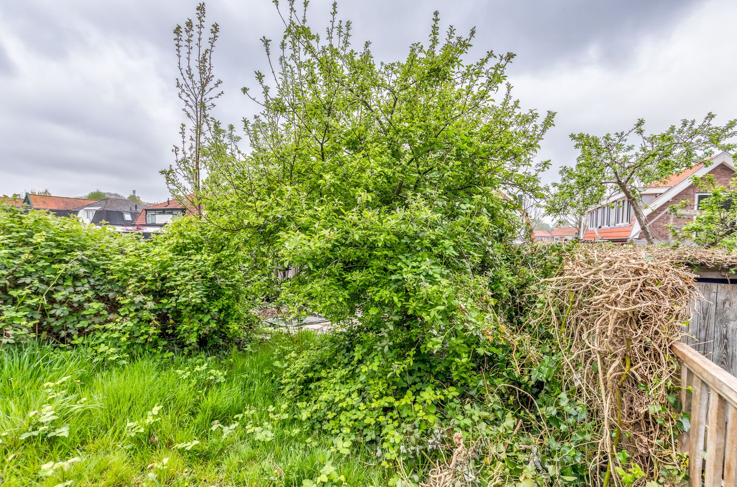 Photo 14 of Bermweg 210