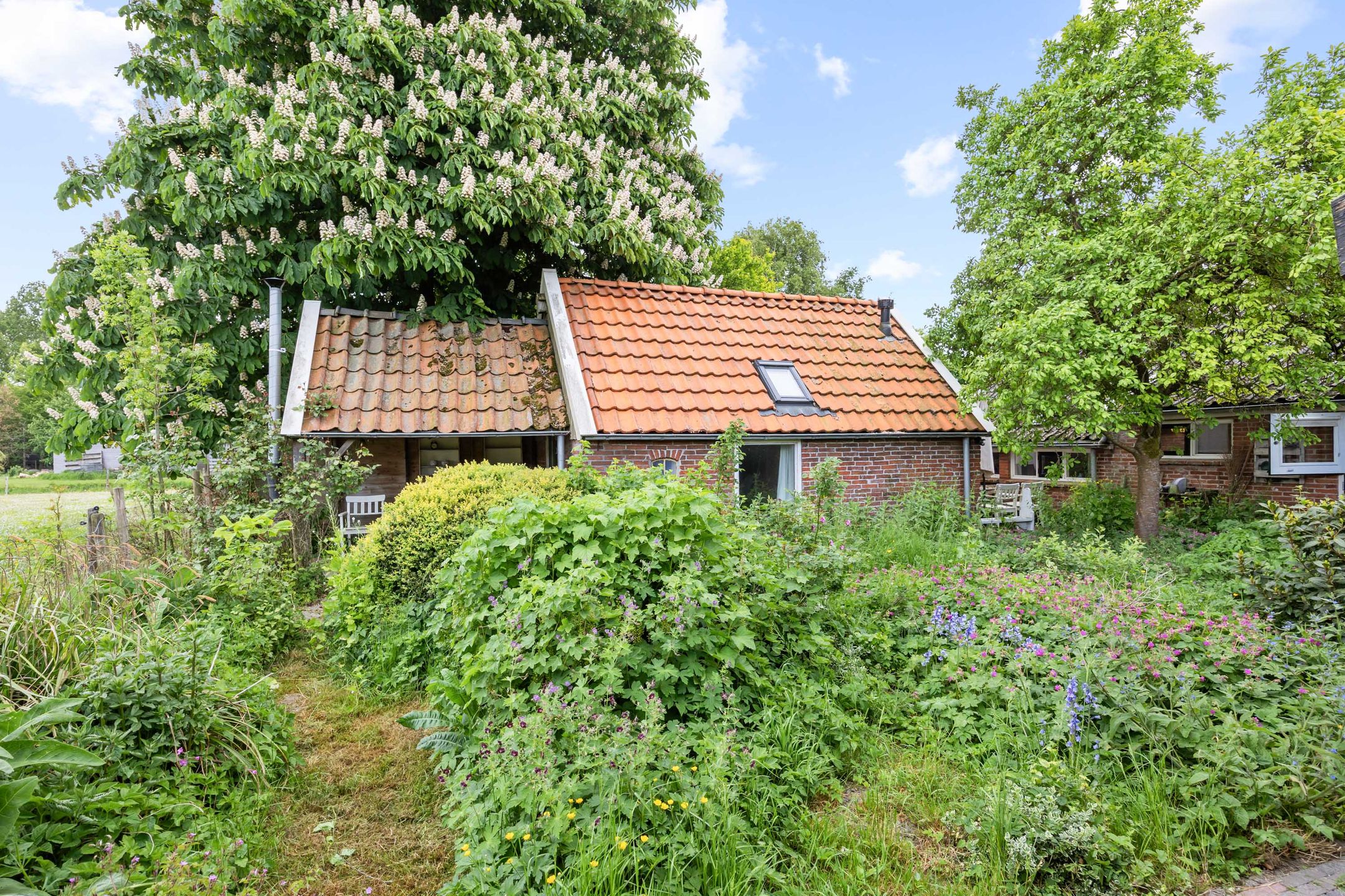 Foto 27 van Wierhuisterweg 5