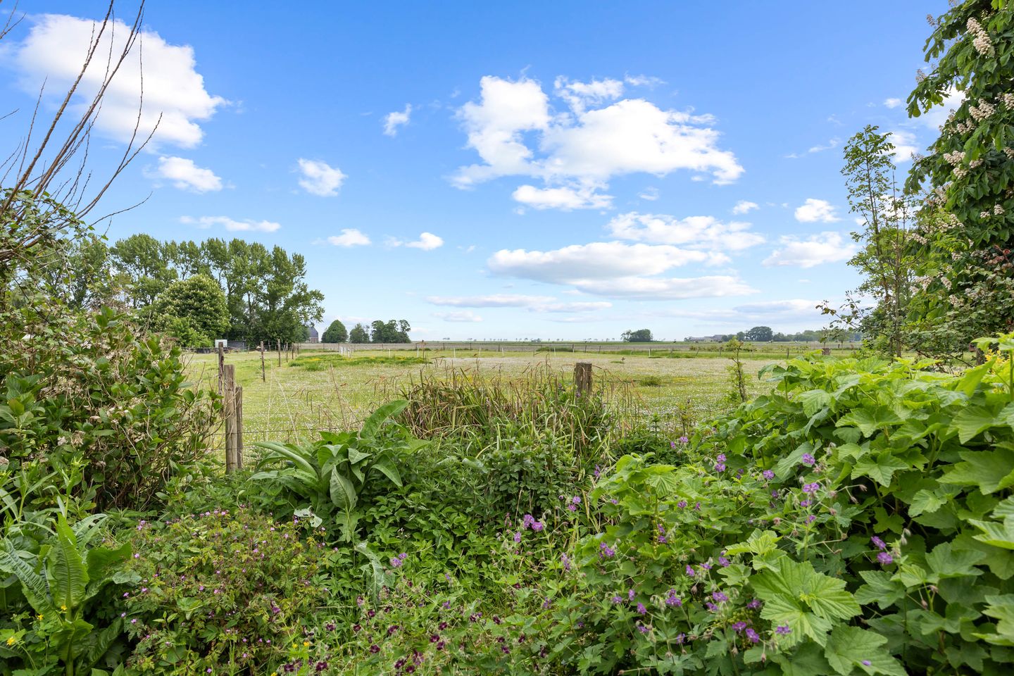 Foto 40 van Wierhuisterweg 5