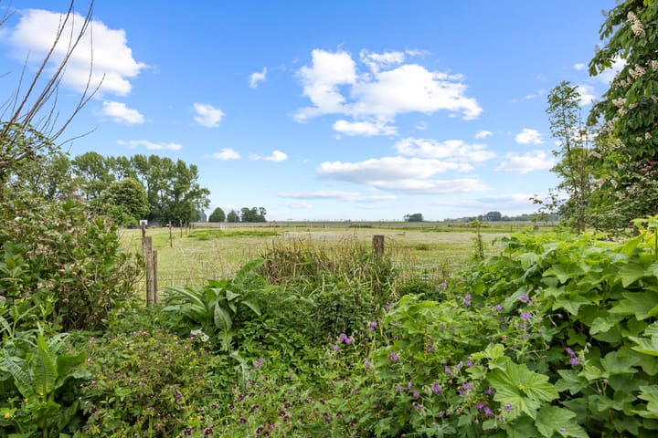 Foto 40 van Wierhuisterweg 5