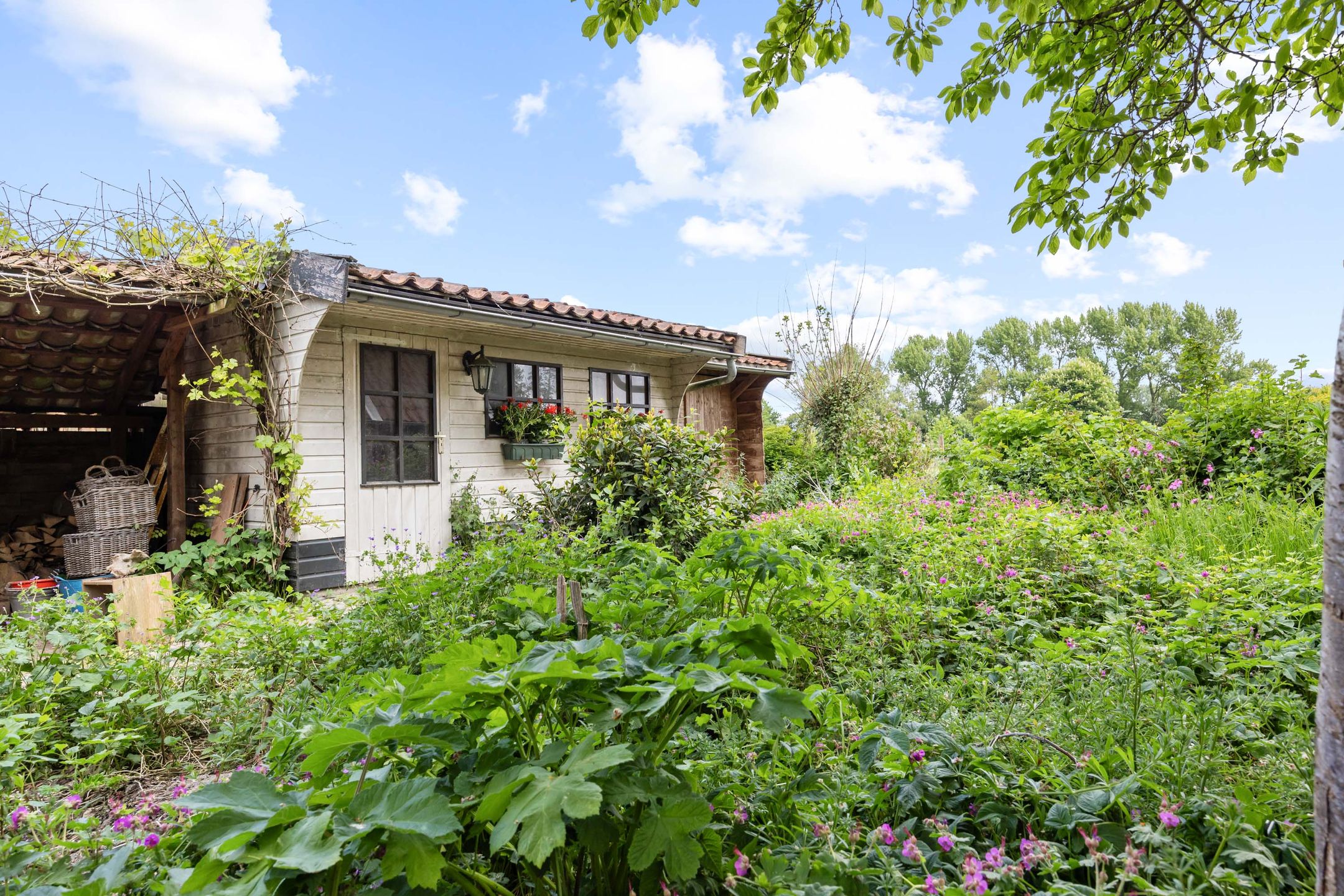 Foto 42 van Wierhuisterweg 5