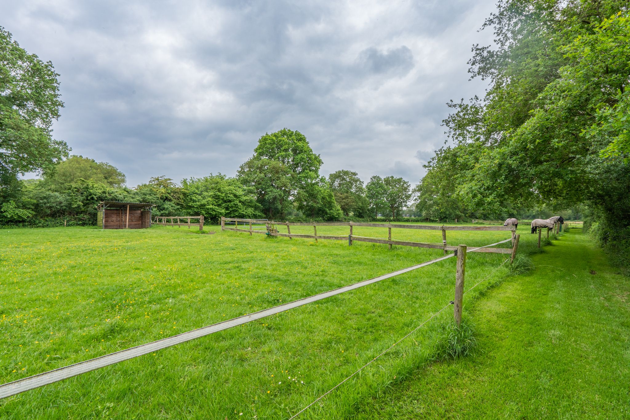 Foto 54 van Mottenbrink 11