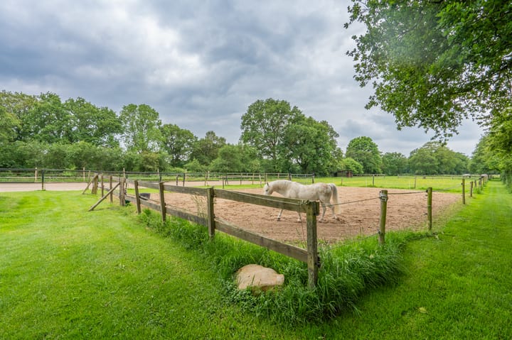 Foto 55 van Mottenbrink 11