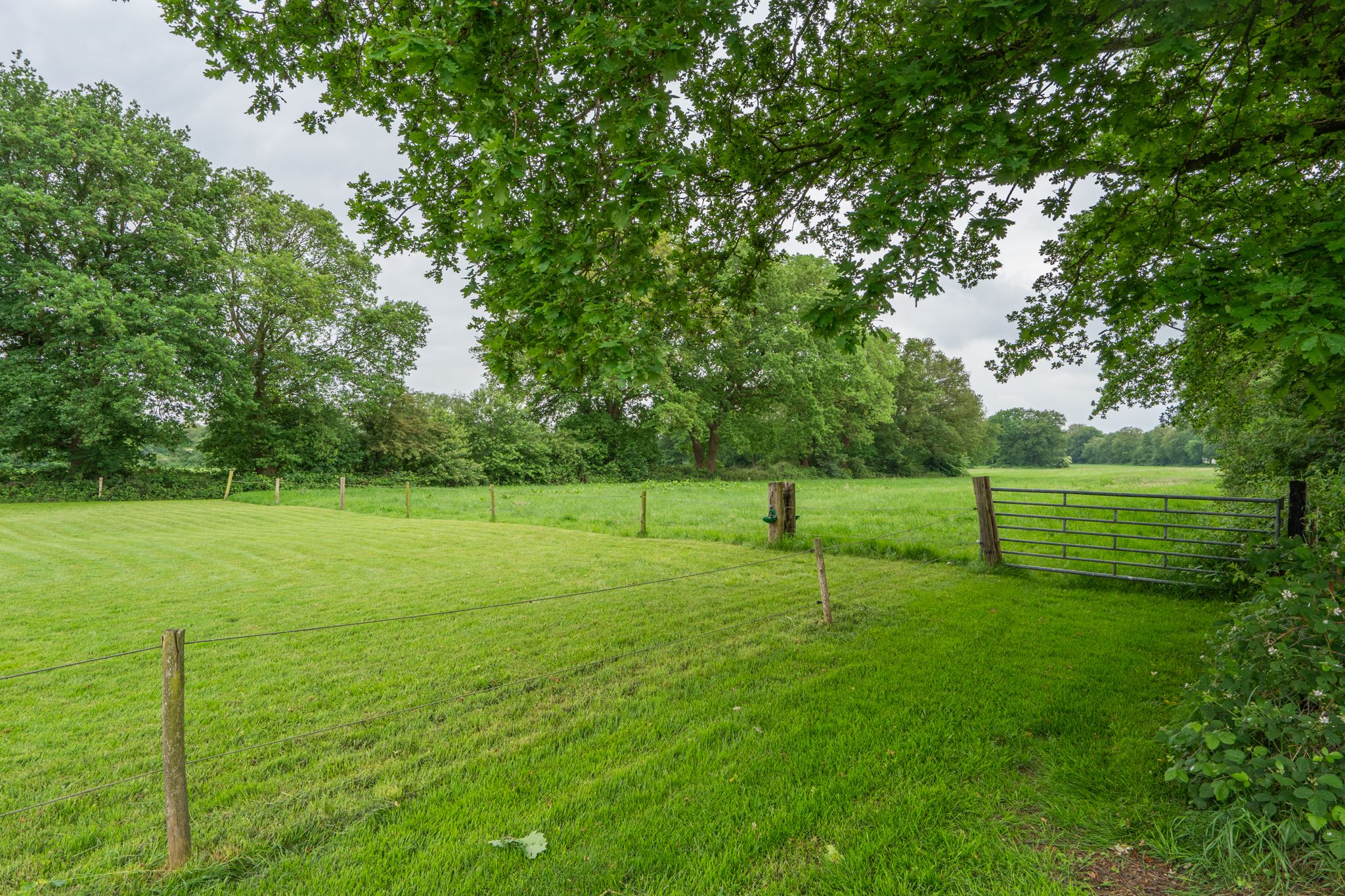 Foto 57 van Mottenbrink 11