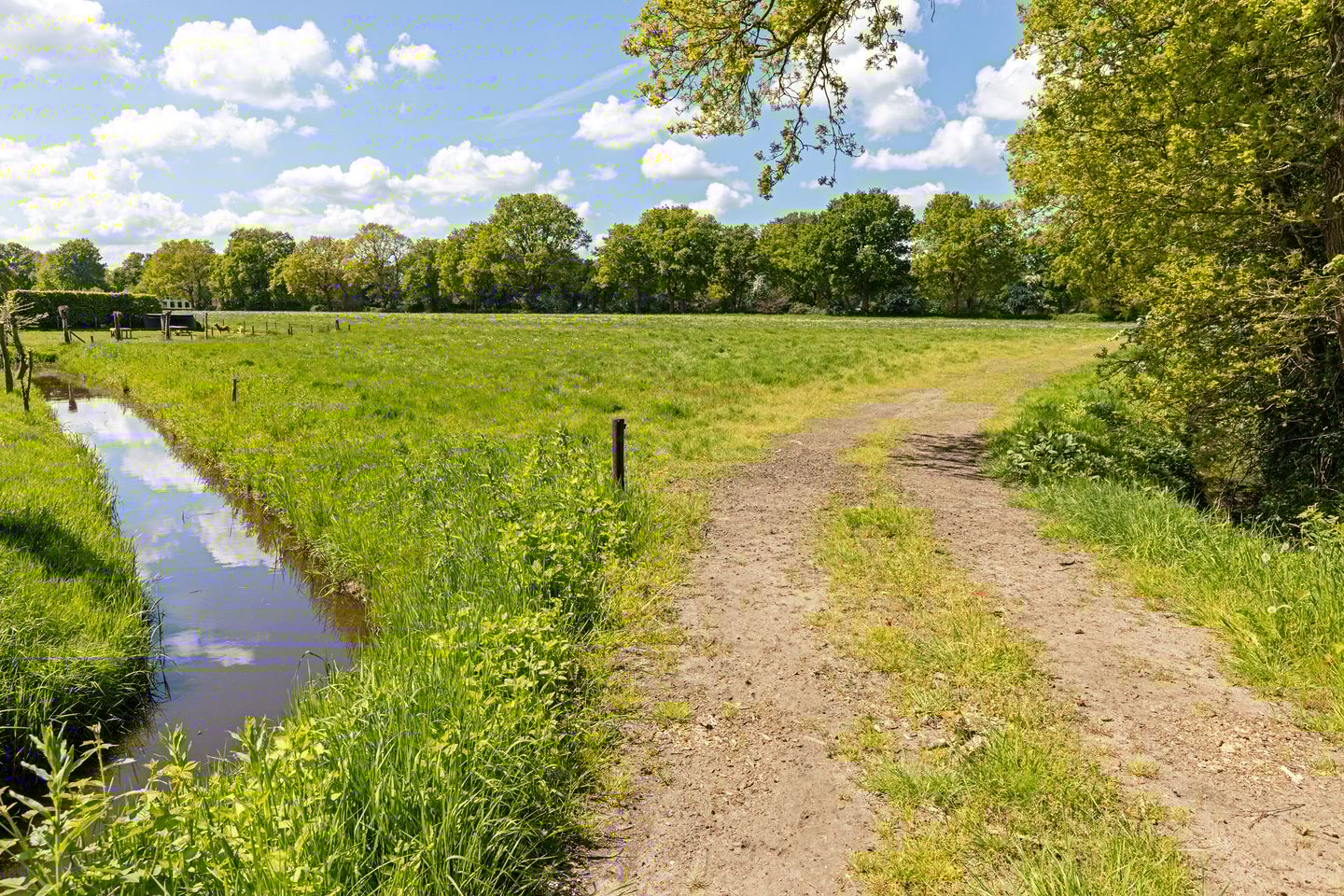 Foto 59 van Mottenbrink 11