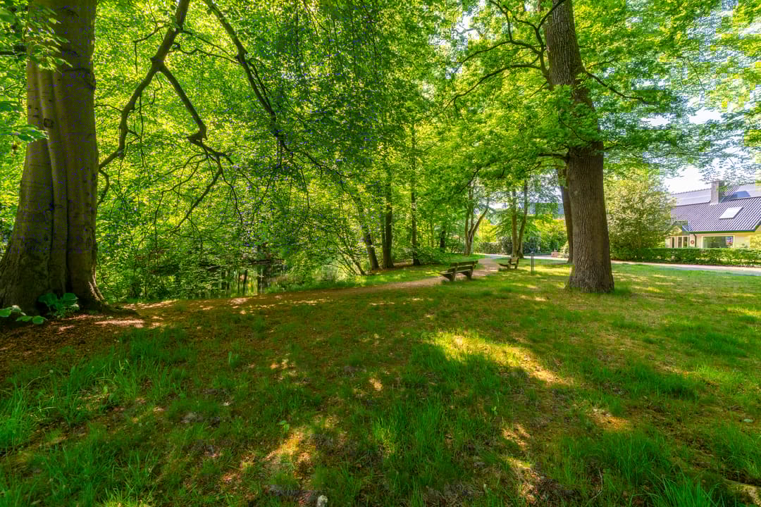 Foto 62 van Grothelaan 18-A