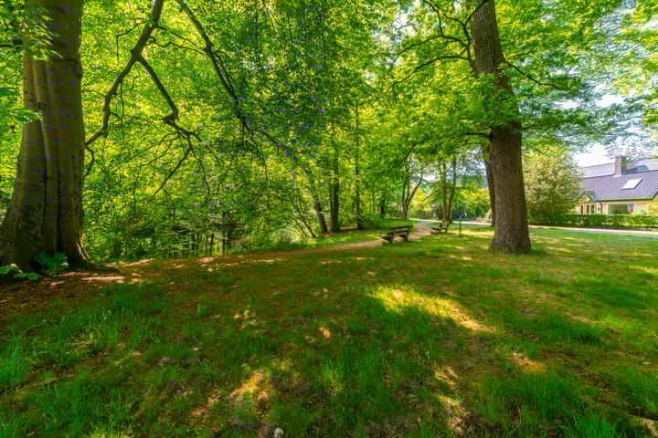 Foto 62 van Grothelaan 18-A